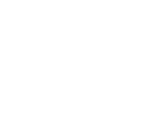 Logo-Endomadrid